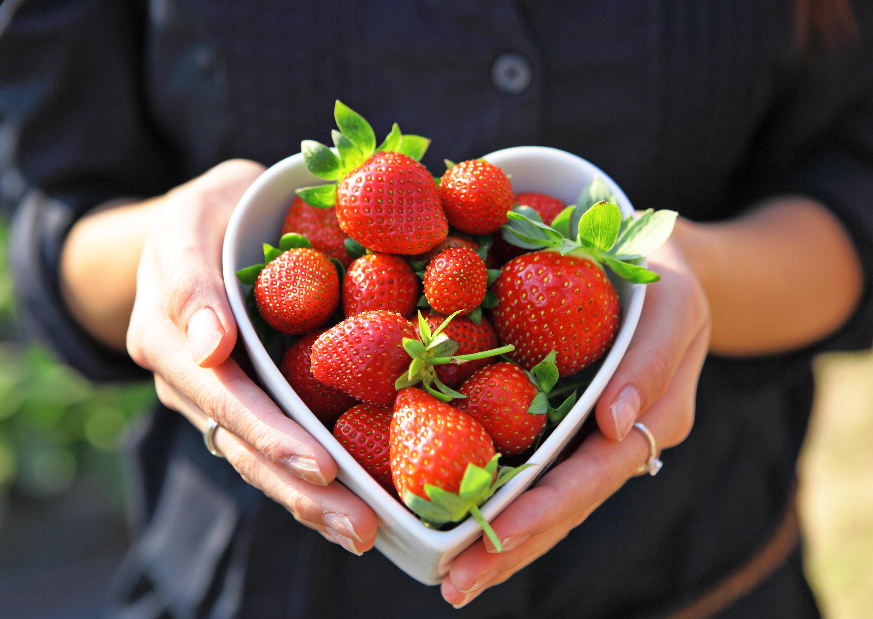 shutterstock_80915755